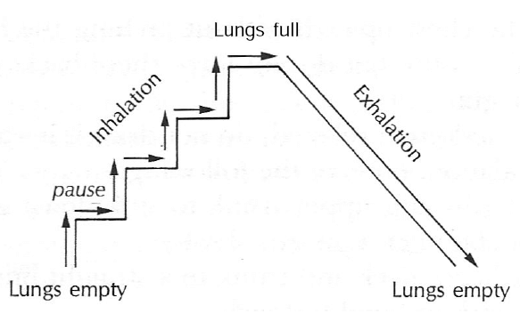 Viloma pranayama technique1