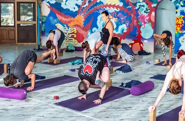 Frog Lotus Yoga International- most respected yoga teacher training
