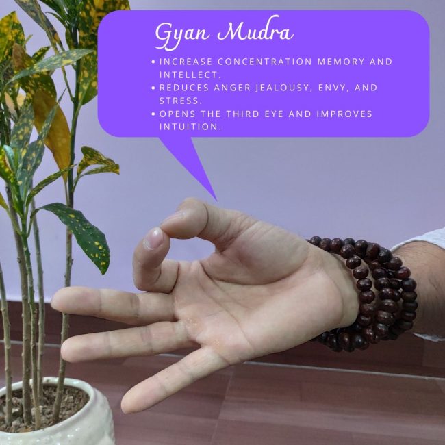 Gyan Mudra Gyan Mudra