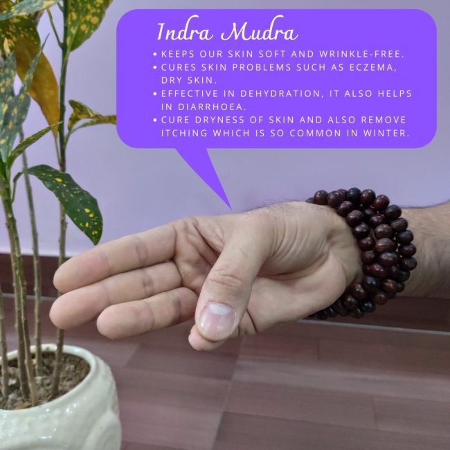 Indra Mudra Indra Mudra