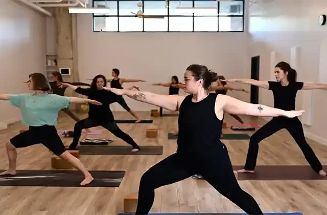 My Vinyasa Practice - Ayurveda Yoga Training Online