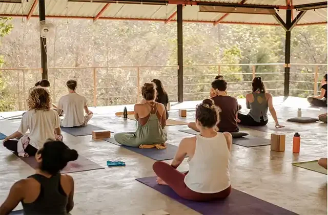 Pura Veda – Yoga Ayurveda Teacher Training