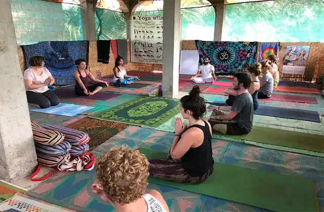 Raj Yoga School - Multistyle Yoga Teacher Training in Dharamshala