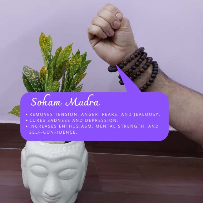 Soham Mudra Soham Mudra