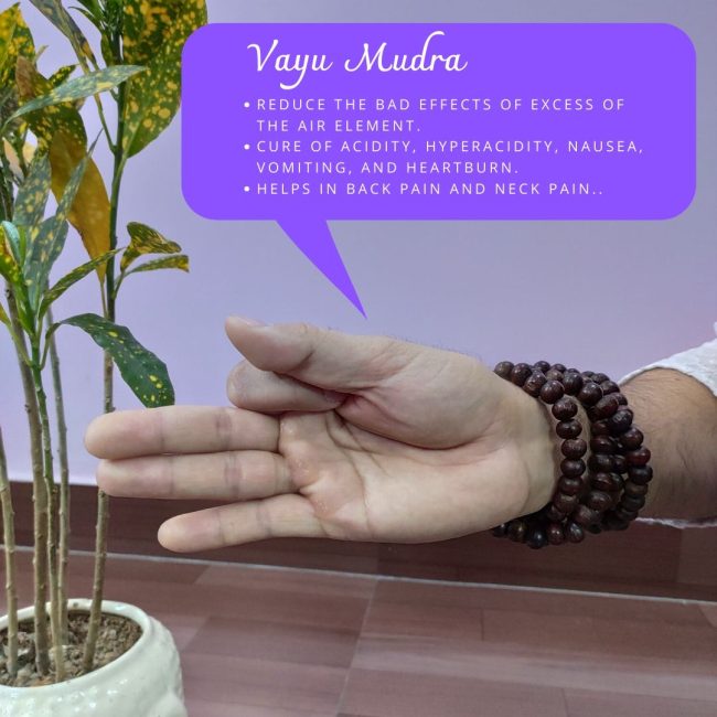 Vayu Mudra Vayu Mudra