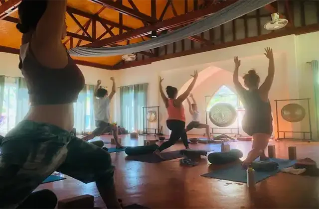 cheap training - Pure Nature Yoga