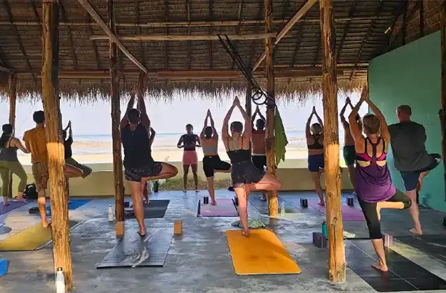 cheap yoga teacher training - All Yoga Training