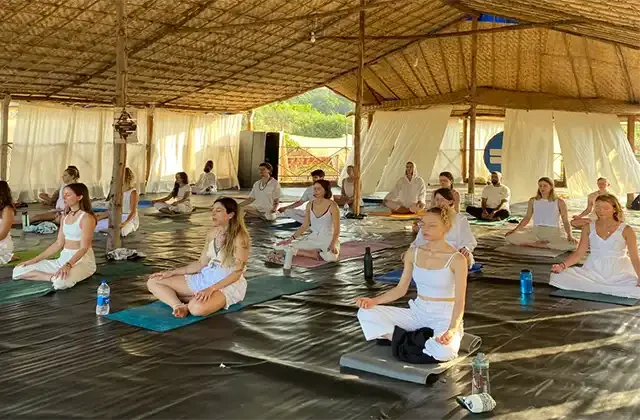 mahi yoga- dharmshala tc