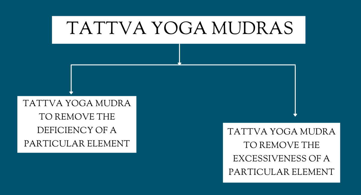 types of tattva yoga mudra types of tattva yoga mudra