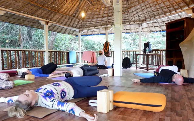 yin yoga teacher training india