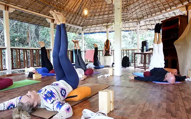 yoga chaitanya-200 hour yin yoga teacher training