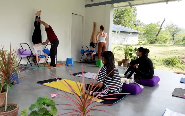 yoga therapy training india